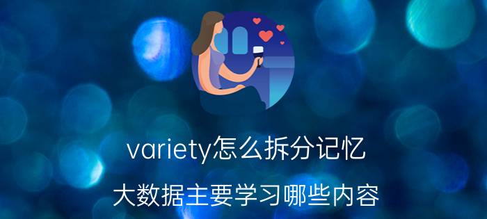 variety怎么拆分记忆 大数据主要学习哪些内容？